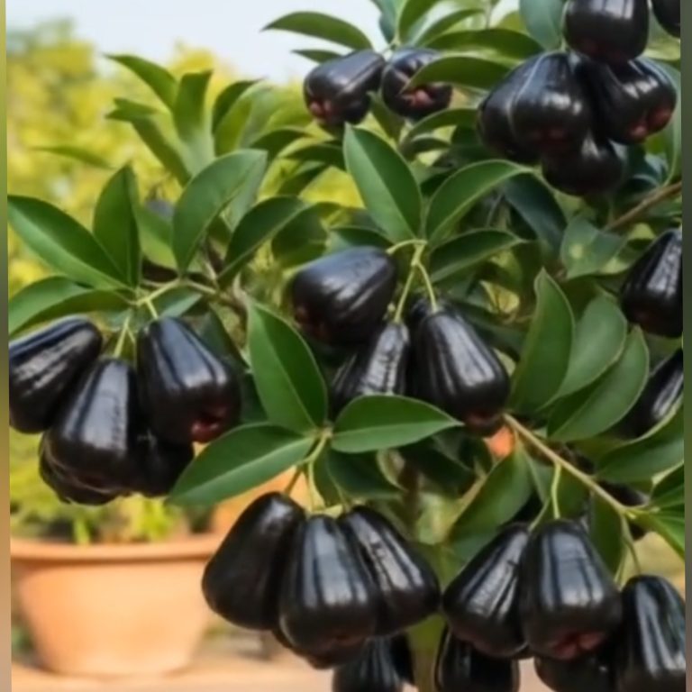 InFrame_1760844341965