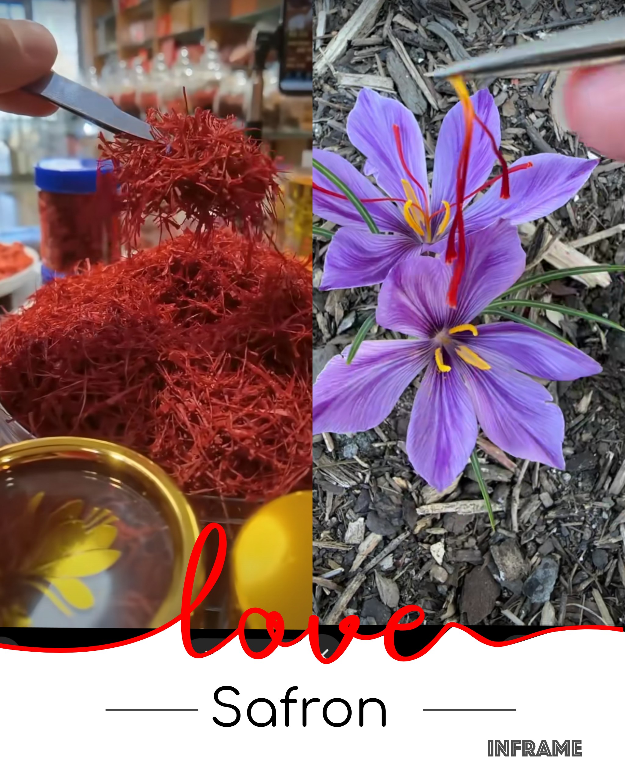 InFrame_1758682836488