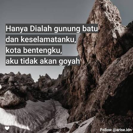 images(146)